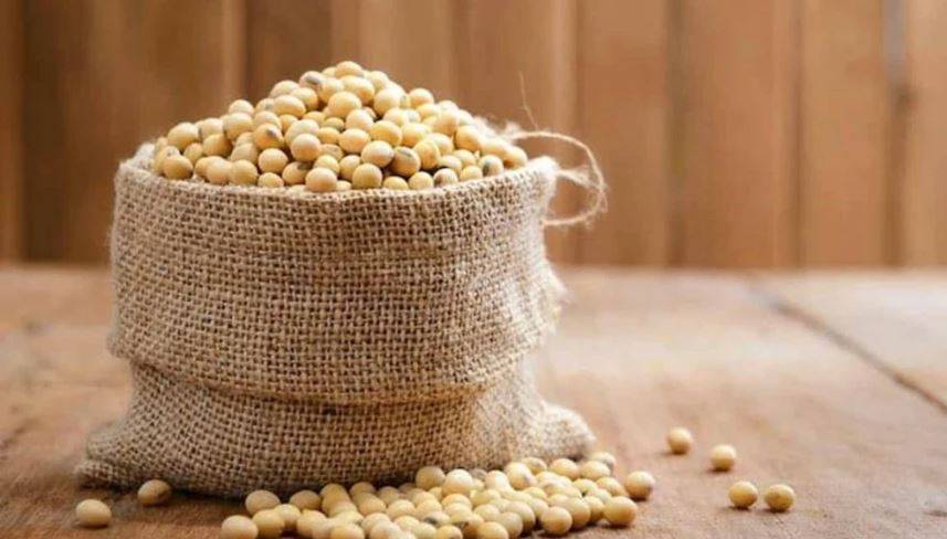 يحد من الإصابة بأمراض القلب ويحسن من صحة العظام؛ تعرفوا معنا على فوائد فول الصويا