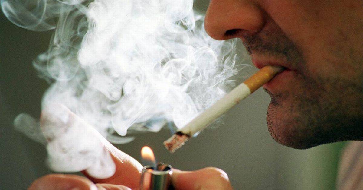هل التدخين قبل إجراء تحليل الدم يغيّر النتائج؟ إليكم الجواب الحاسم