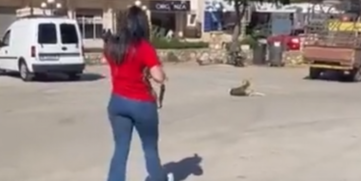 جريمة قتل الكلب في كامد اللوز... ماذا يقول الخبراء وما مصير الأم ؟