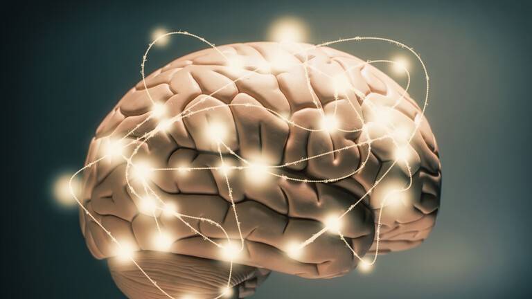 خمسة أمراض تهاجم مناطق اللغة في الدماغ