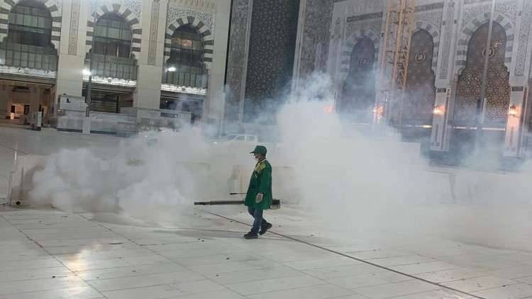استنفار في مكة لمواجهة زحف جيوش جرارة من الجداجد