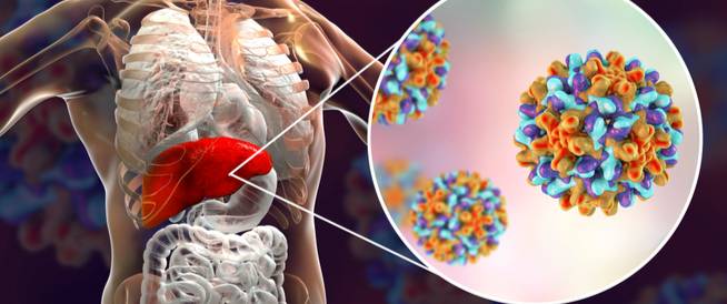 سببان "غريبان" لانتشار التهاب الكبد الغامض بين الأطفال