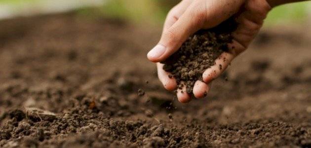 علماء يبتكرون علاجاً للسرطان من بكتيريا التربة