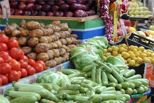 هل ستنخفض أسعار الخضار في الأيام المقبلة؟.. ترشيشي يكشف سبب ارتفاع سعر البندورة