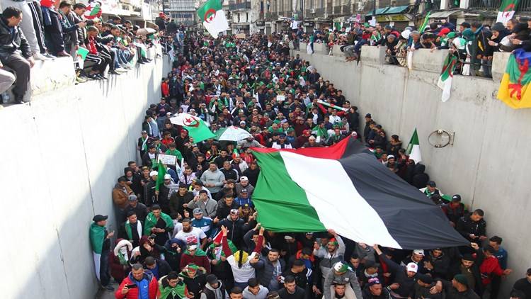 عشرات المنظمات تدعو للتحقيق الفوري في مقتل أبو عاقلة