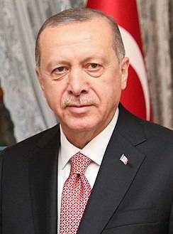 الرئاسة التركية ترد لأول مرة على تقارير "هروب أردوغان"