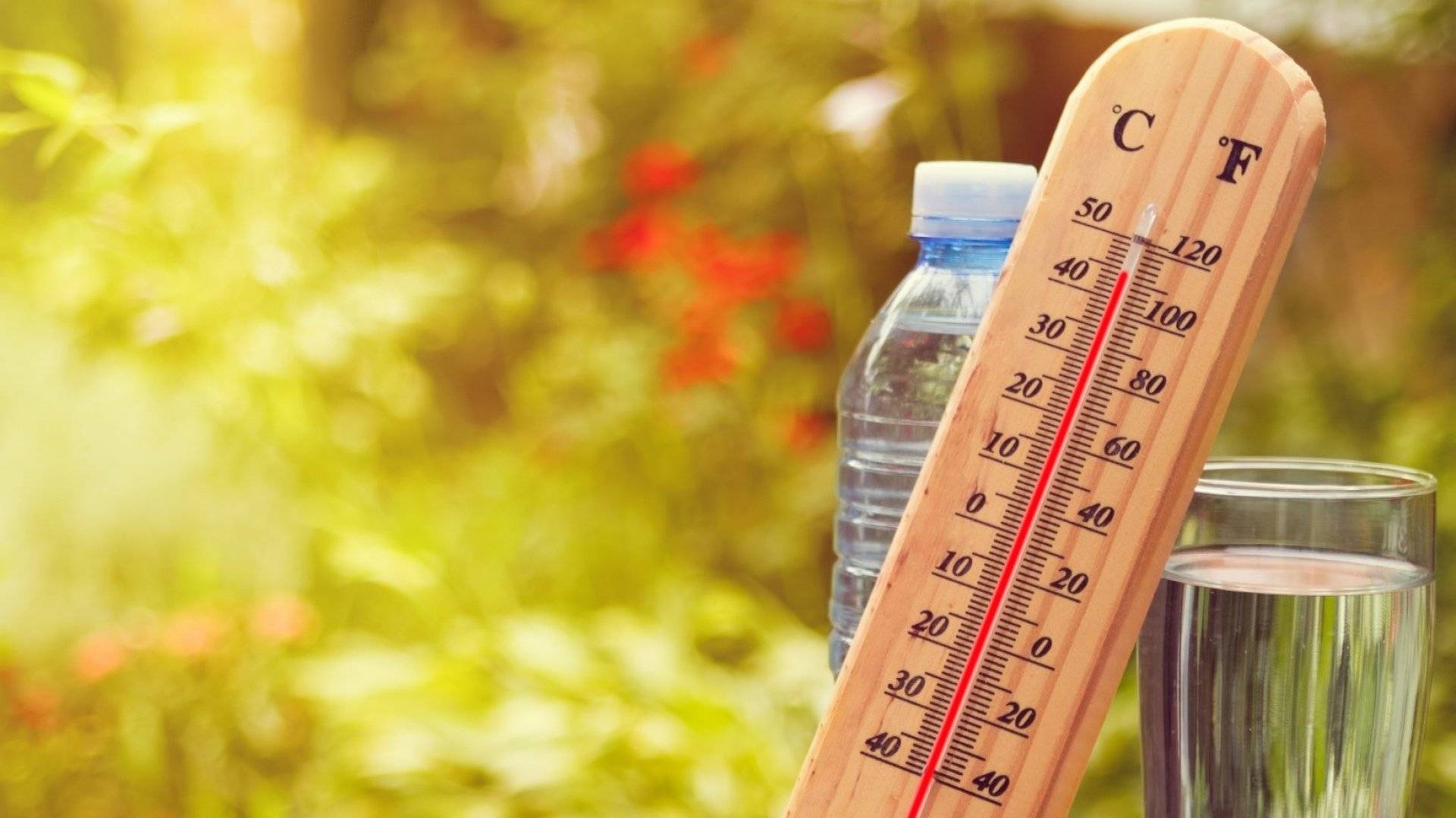 طقس ربيعي حار نهاراً ومريح ليلاً.. إليكم درجات الحرارة في الأيام المقبلة