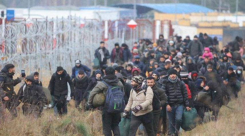 ما حقيقة الإعدامات الجماعية بحق مهاجرين عراقيين على حدود بولندا؟