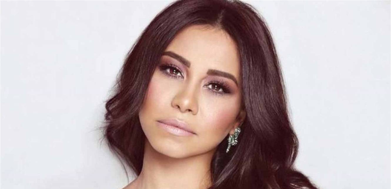 ما حقيقة استيلاء حسام حبيب على ثروة شيرين وتهديدها بالمسدس؟