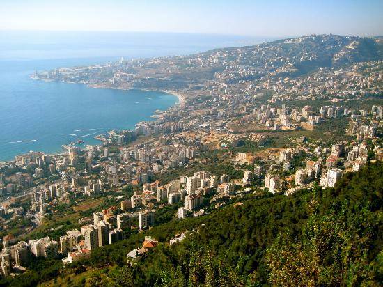 موجة صراصير طائرة في طريقها إلى لبنان؟