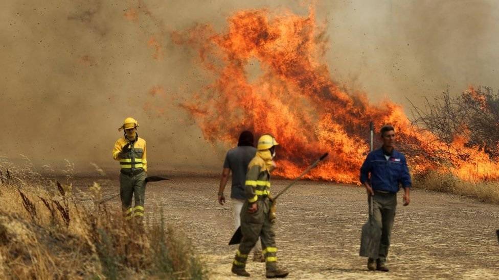 منظمة الصحة العالمية: مقتل 1700 شخص جراء موجة الحر في ​إسبانيا​ و​البرتغال