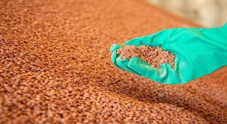 هذا ما كشفه السفير الروسي في مانيلا عن المفاوضات بين روسيا والفلبين حول توريد الأسمدة