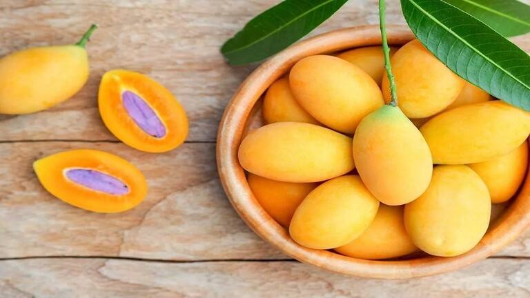 أخبار طيبة لعشاق المانجا.. 10 فوائد ستجعلك تدمن عليها