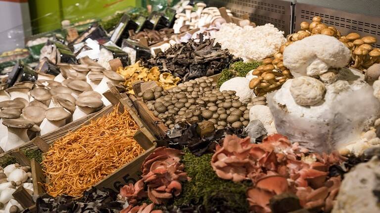 بعض أنواع الفطر تحميك من السرطان