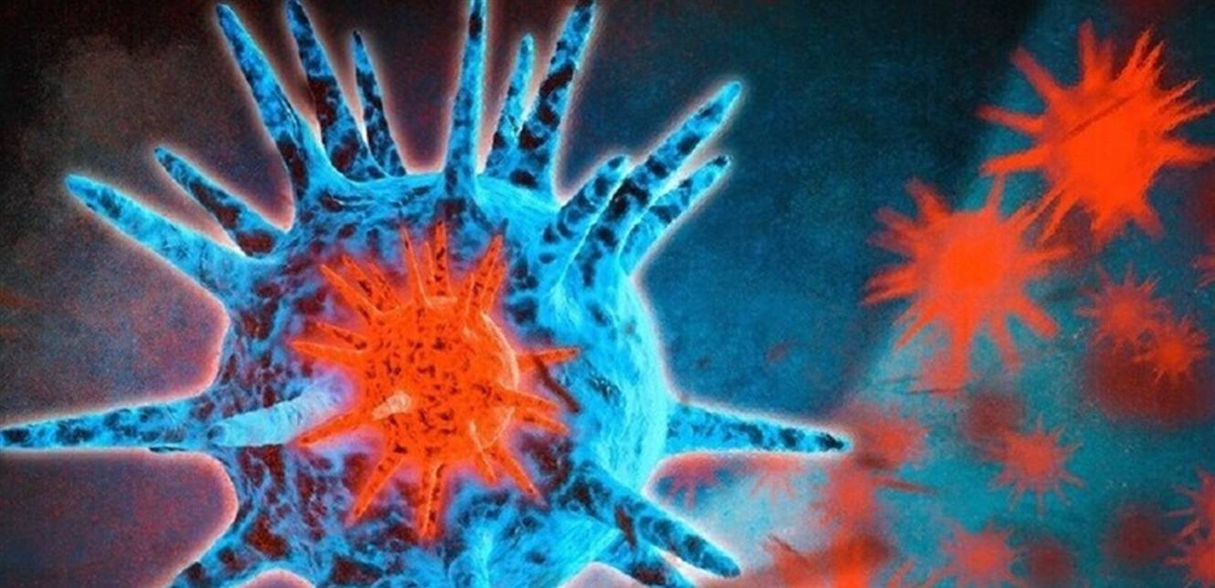 اكتشاف فيروس جديد ينتقل من الحيوانات إلى البشر!