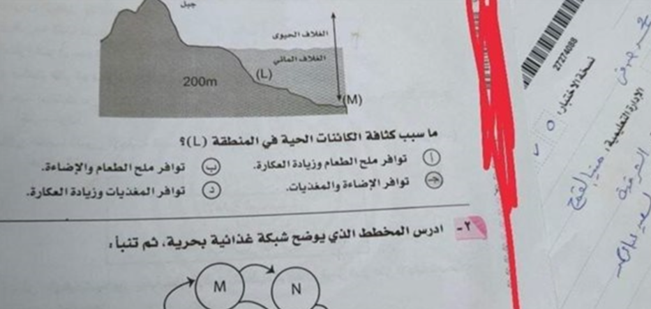 في هذه الدولة العربية... صاحبة 