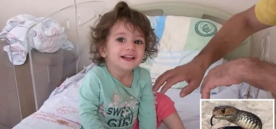 طفلة تنتقم من أفعى لدغتها بشراسة .. ما فعلته بها امر لا يصدق!