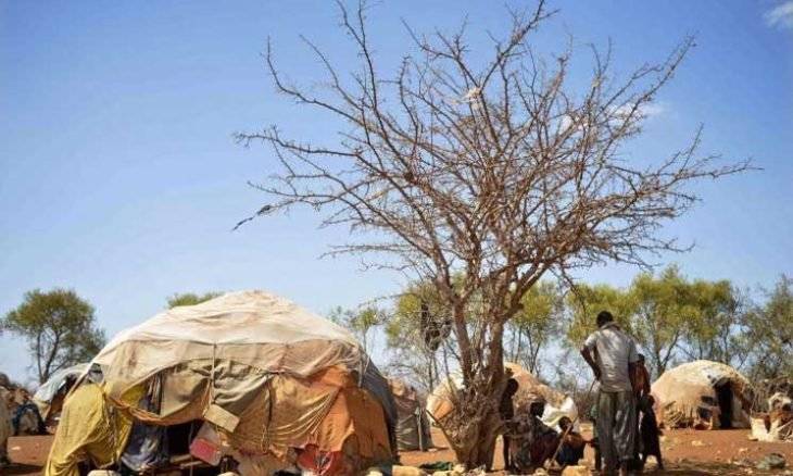 المجاعة تتهّدد 22 مليون شخص في القرن الأفريقي
