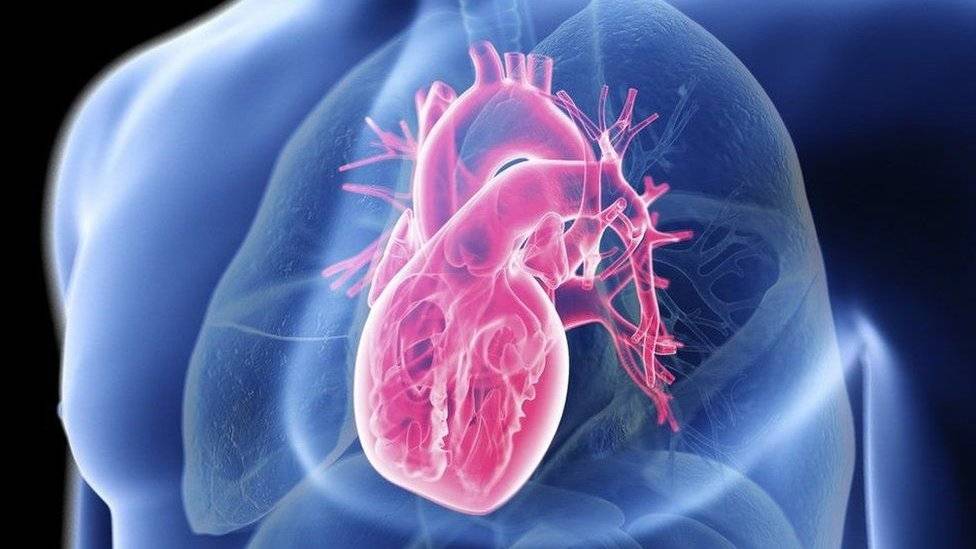 السرطانات وأمراض القلب... هكذا يمكن اكتشافهم بطريقة سريعة
