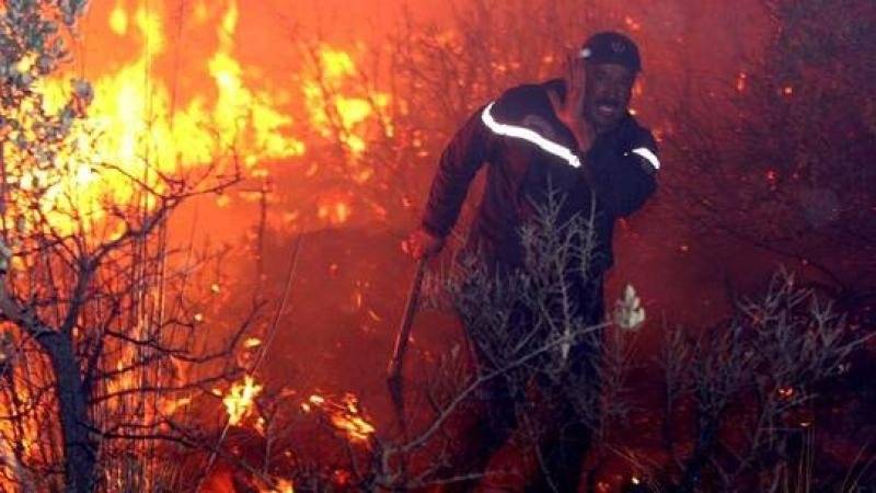 ارتفاع حصيلة ضحايا حرائق الغابات في الجزائر الى 43 قتيلا و183 جريحا
