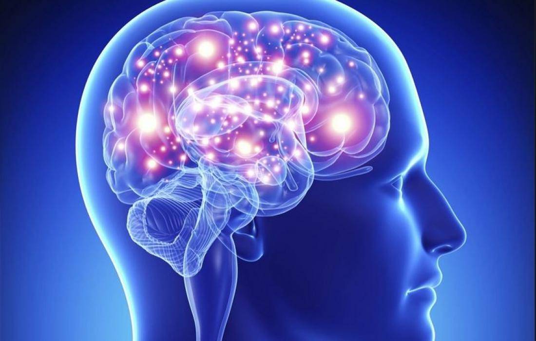 أدوية شائعة يُمكن أن تغيّر بُنية الدماغ !