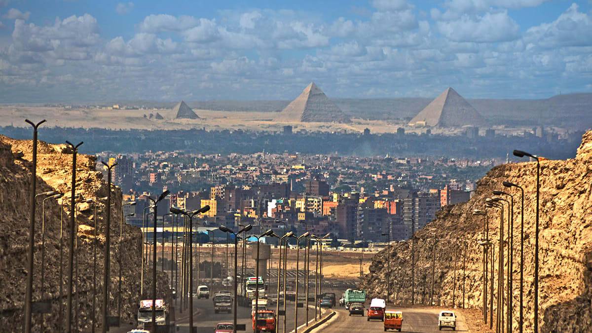 مصر تشتري 27 ألف طن من زيت دوار الشمس في مناقصة دولية