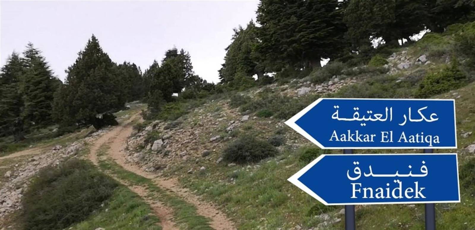 طفلة من عكار خسرت حياتها قبالة سواحل اليونان!