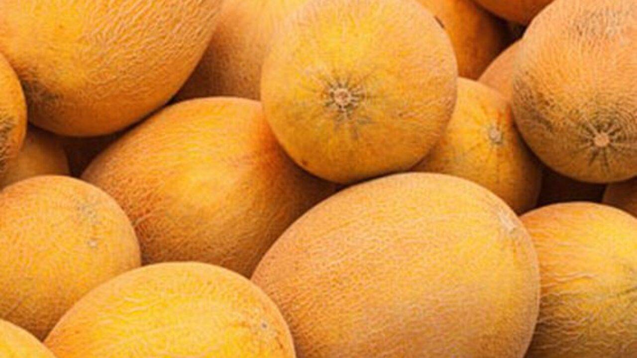الشمام.. ما هي فوائده ومخاطره؟