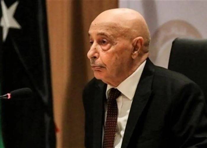 برلمان ليبيا يوجه رسالة الى الأمم المتحدة