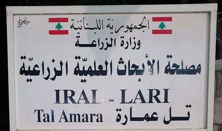 بدء التسجيل في ورشة العمل حول "ابتكارات
علميّة لتأهيل المراعي في الغابات الحرجيّة"