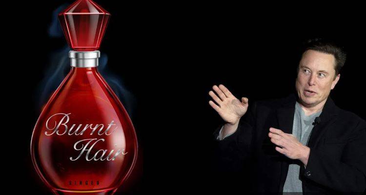عطر لايلون ماسك يحقق مبيعات بمليون دولار في ساعات