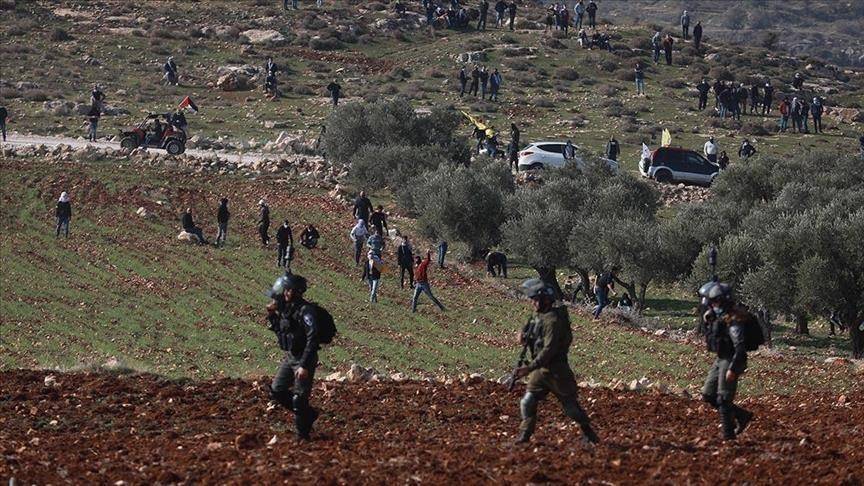 مستوطنون يهاجمون مزارعين فلسطينيين شمالي الضفة