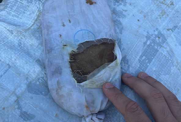 الجيش: إحباط مُحاولة تهريب
مُخدّرات قبالة شاطئ العبدة