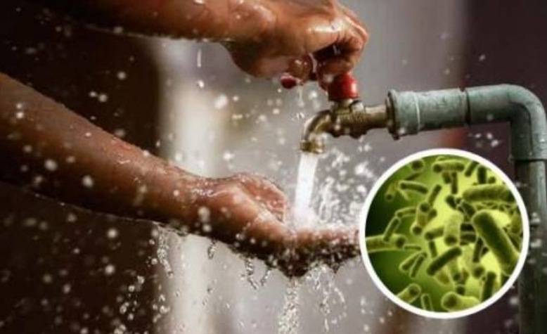 مصلحة الأبحاث العلميّة الزراعيّة: طرق الحماية من الكوليرا