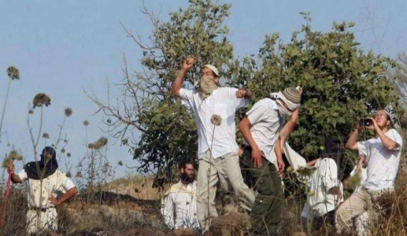 مستوطنون يعتدون على مزارعين فلسطينيين