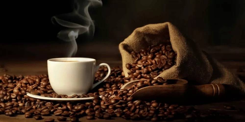 القهوة تؤثر على طول الأجنة