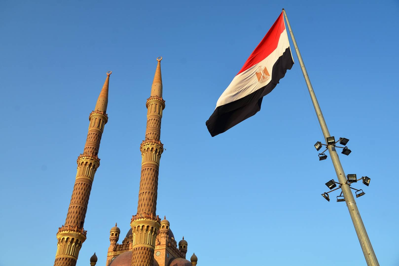 مصر تعلن نجاحها في التخلص من مرض مدمر