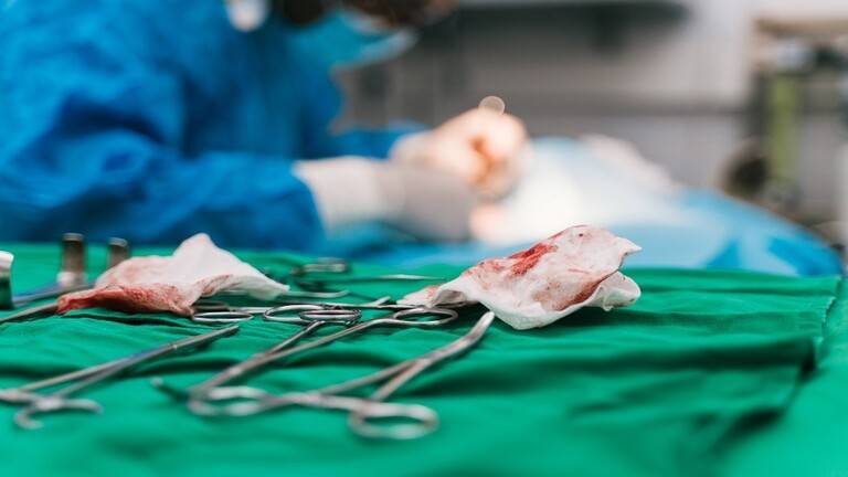 الأولى من نوعها .. عملية زرع كبد من متبرع توفي عن عمر يناهز 100 عام