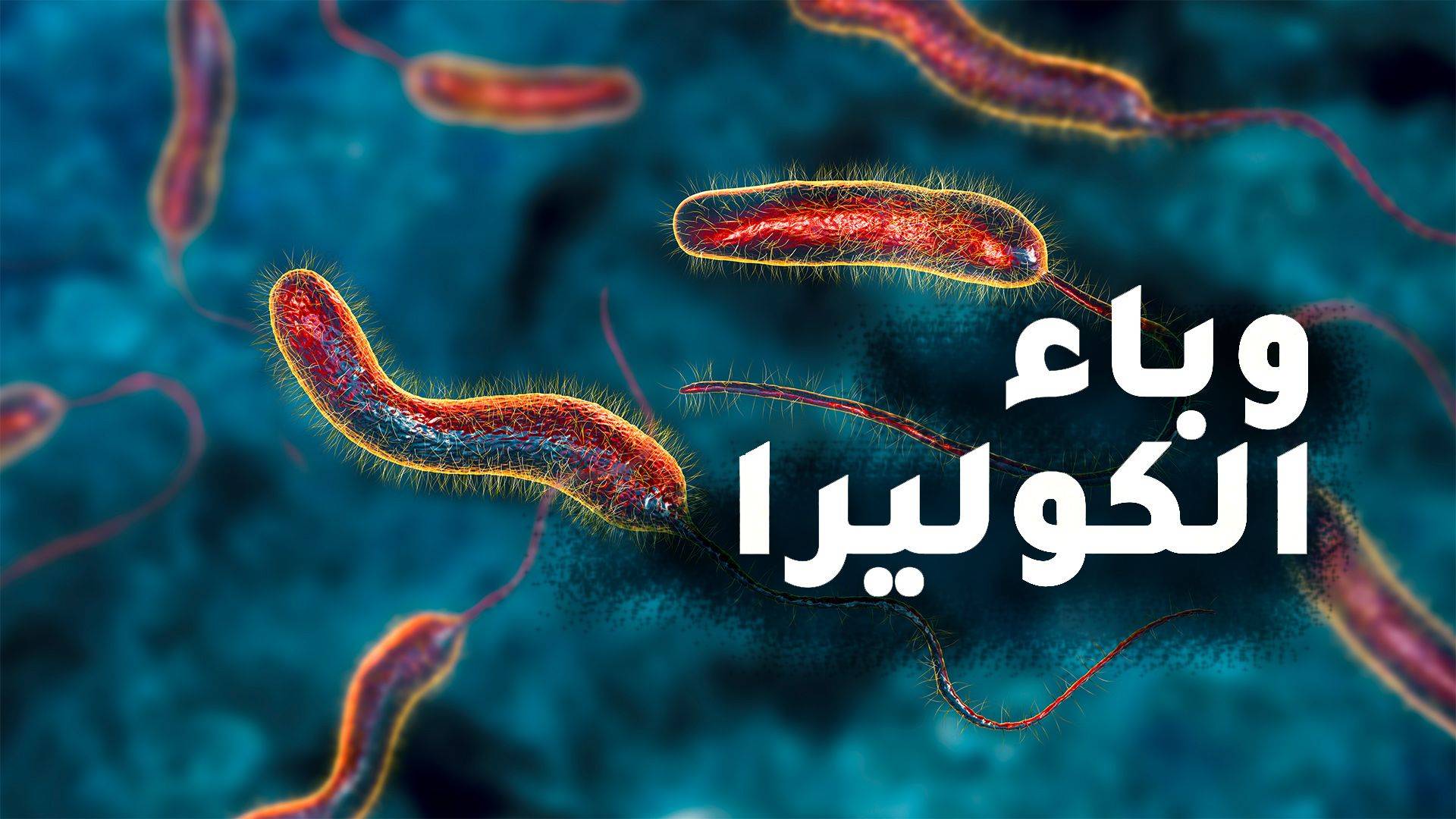 ميقاتي يلتقي لجنة الصحة والكوليرا على طاولة البحث