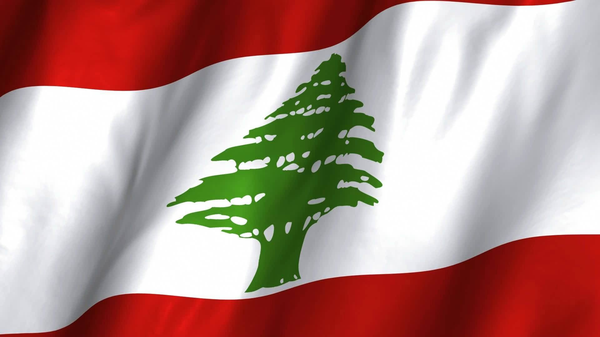 بالصورة-علم لبنان يرفرف في هاليفكس بمناسبة عيد الاستقلال