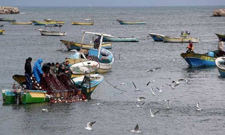 نقيب الصيادين في غزة: وضع القطاع مأساوي