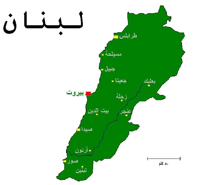 دولة مدنيّة وسط الأدغال ؟؟