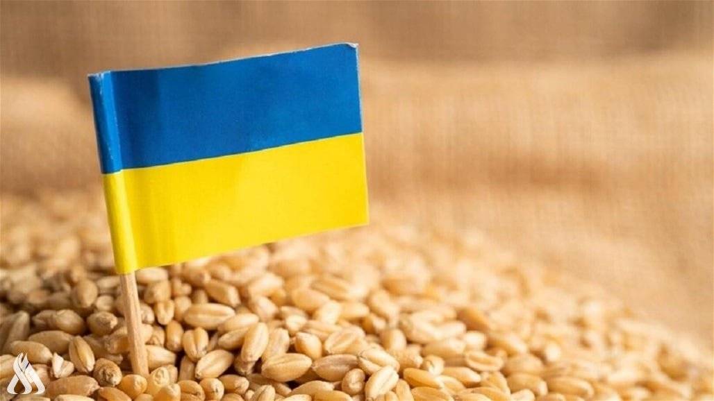 روسيا جاهزة لتزويد البلدان الأكثر احتياجاً بالحبوب