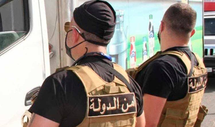 بعد قطع الأشجار في أحراج جزين... أمن الدولة تتحرك
