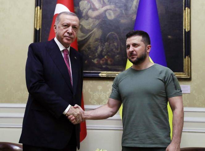 أردوغان وزيلينسكي يناقشان سبل حلّ أزمة الحبوب