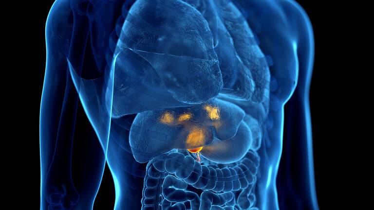 دراسة: الأشكال المبكرة من أمراض الكبد تؤثر على صحة القلب