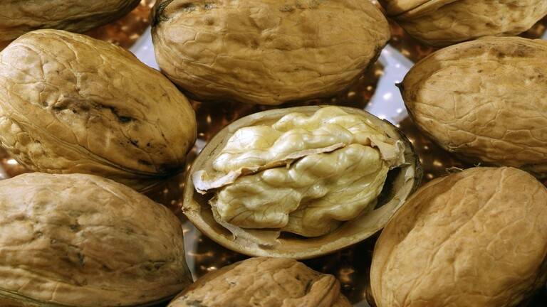 الجوز يخفف أعراض الإجهاد؟