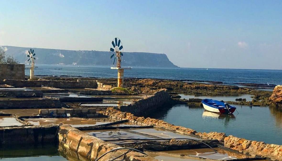 قوى الأمن تفتح تحقيقا في جريمة أنفه