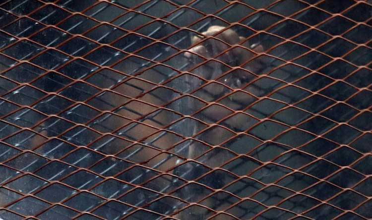 توقيف مطلوب بحقه 190 نشرة قضائية