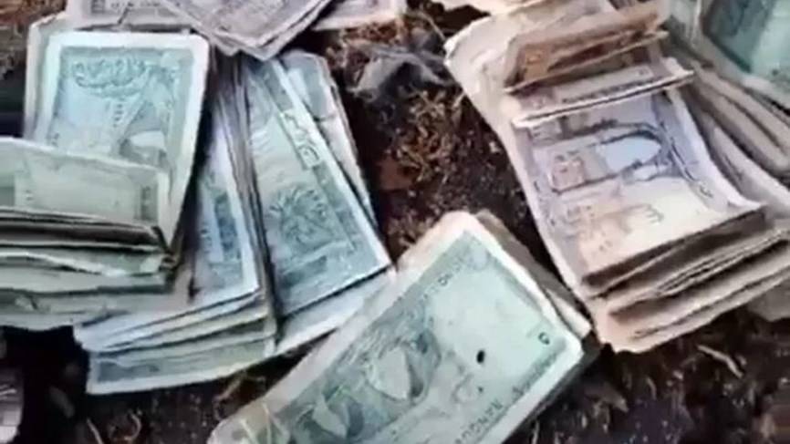العثور على عملات لبنانية قديمة داخل جذع زيتون